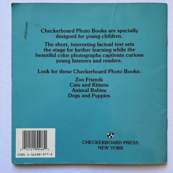 Lot of 4 Childrens Books Paperback Educational Non Fiction Animals Outer Space - Picture 4 of 12